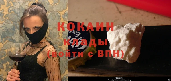 твердый Богданович