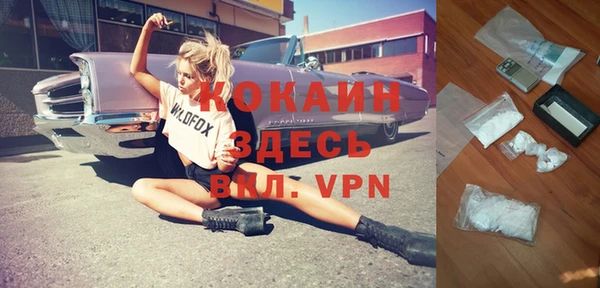 твердый Богданович